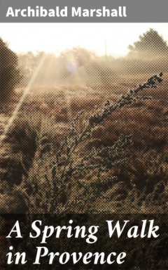 книга A Spring Walk in Provence