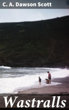 книга Wastralls