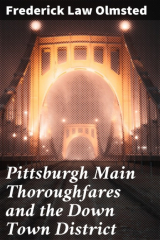 книга Pittsburgh Main Thoroughfares and the Down Town District