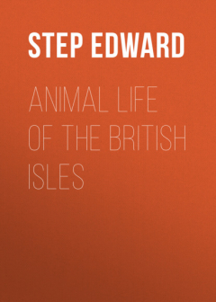 Книга Animal Life of the British Isles на ReadRate.com книга Animal Life of the British Isles