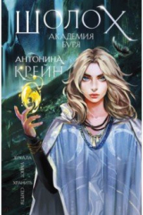 книга Шолох. Академия Буря