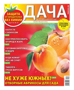 Книга Дача Pressa.ru 13-2021 на ReadRate.com книга Дача Pressa.ru 13-2021