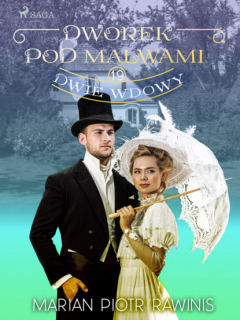 Книга Dworek pod Malwami 19 - Dwie wdowy на ReadRate.com книга Dworek pod Malwami 19 - Dwie wdowy