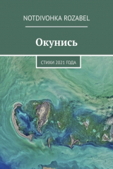 книга Окунись. Стихи 2021 года