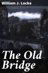 книга The Old Bridge