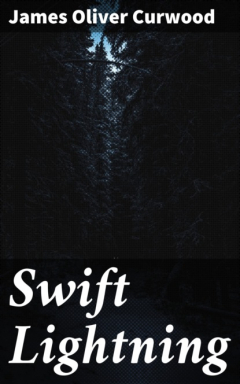 Книга Swift Lightning на ReadRate.com книга Swift Lightning
