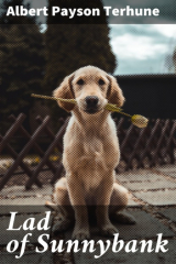 книга Lad of Sunnybank