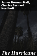 книга The Hurricane