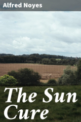 книга The Sun Cure
