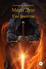 книга Миры Душ: Узы братства