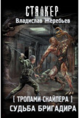 книга Тропами Снайпера. Судьба Бригадира