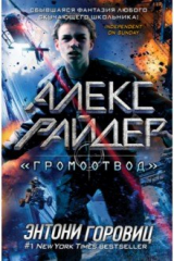 книга "Громоотвод"