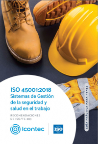 Iso Sistemas De Gesti N De La Seguridad Y Salud En El