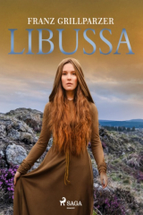 книга Libussa