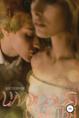 книга Иллюзия счастья