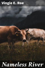 книга Nameless River