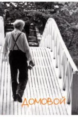 книга Домовой. Сборник статей