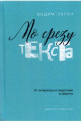 книга По срезу текста. От литературы к педагогике и обратно
