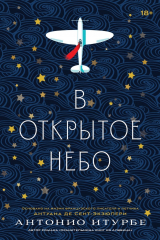 Книга В открытое небо на ReadRate.com В открытое небо