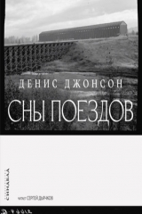 книга Сны поездов