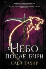 книга Небо после бури