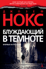 книга Блуждающий в темноте