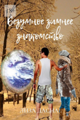 книга Безумное зимнее знакомство