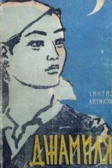 книга Джамиля