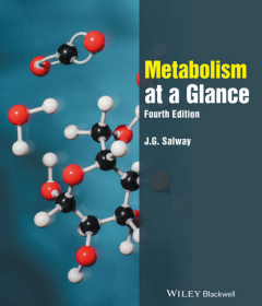 Книга Metabolism at a Glance на ReadRate.com книга Metabolism at a Glance