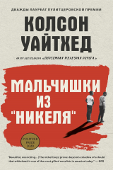 книга Мальчишки из «Никеля»
