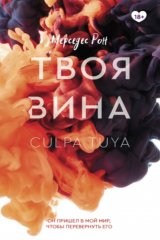книга Твоя вина
