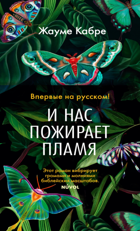 Книга И нас пожирает пламя на ReadRate.com книга И нас пожирает пламя
