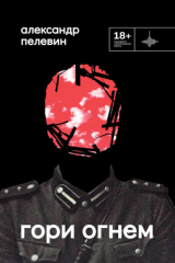 книга Гори огнем