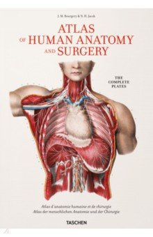 Книга Atlas of Human Anatomy and Surgery на ReadRate.com книга Atlas of Human Anatomy and Surgery