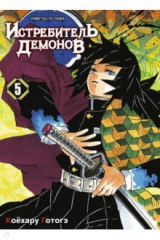 книга Истребитель демонов. Том 5. В ад