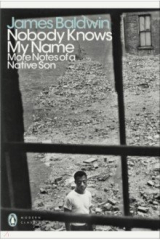 книга Nobody Knows My Name. More Notes Of A Native Son
