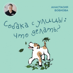 Книга Собака с улицы: что делать? на ReadRate.com книга Собака с улицы: что делать?