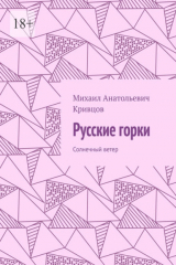 книга Русские горки. Солнечный ветер