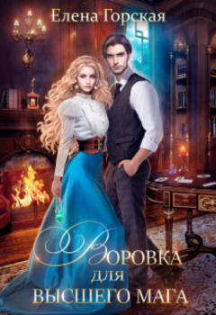 Книга Воровка для высшего мага на ReadRate.com книга Воровка для высшего мага