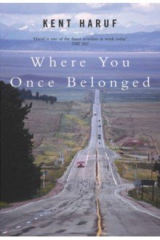 книга Where You Once Belonged