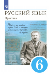 книга Русский язык. 6 класс. Практика