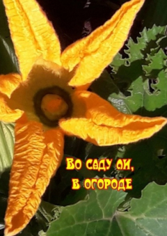 Книга Во саду ли, в огороде на ReadRate.com книга Во саду ли, в огороде
