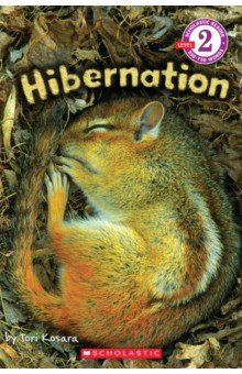 Книга Hibernation. Level 2 на ReadRate.com книга Hibernation. Level 2