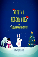 книга Успеть к Новому году + Праздничная история