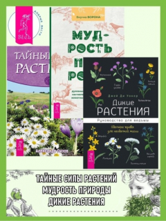 Книга Дикие растения: Руководство для ведьмы: Обычные травы для необычной магии. Мудрость природы: Духовные и практические наставления от растений, животных и Матери-земли. Тайные силы растений на ReadRate.com книга Дикие растения: Руководство для ведьмы: Обычные травы для необычной магии. Мудрость природы: Духовные и практические наставления от растений, животных и Матери-земли. Тайные силы растений