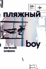 книга Пляжный boy