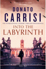 книга Into the Labyrinth