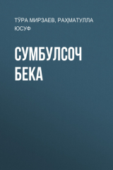 книга Сумбулсоч бека