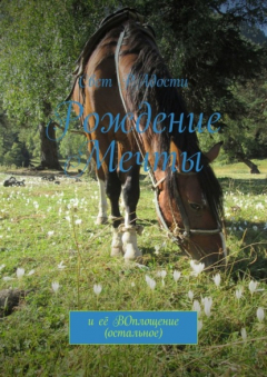 Книга Рождение мечты. И её воплощение (остальное) на ReadRate.com книга Рождение мечты. И её воплощение (остальное)
