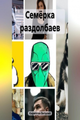 книга Семёрка раздолбаев